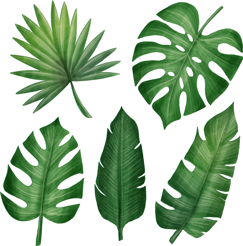 Jungle Leaf PNG File