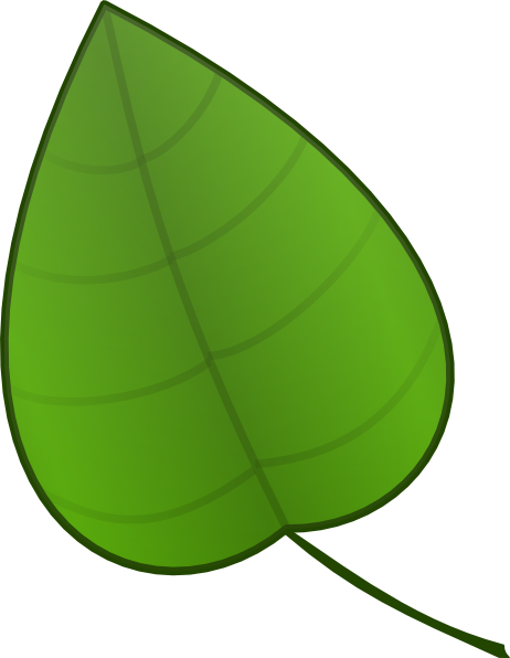 Jungle Leaf PNG Picture