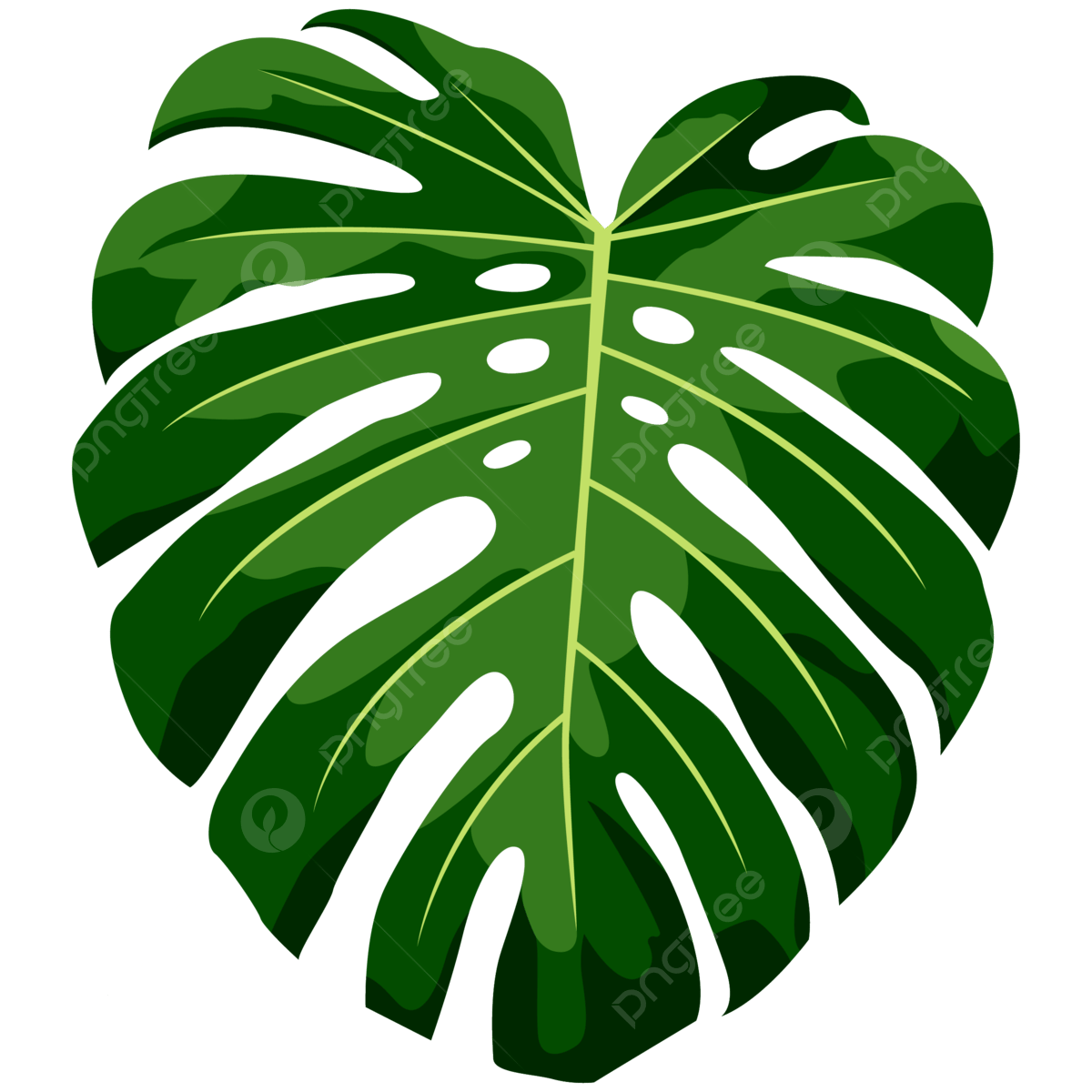 Jungle Leaf PNG