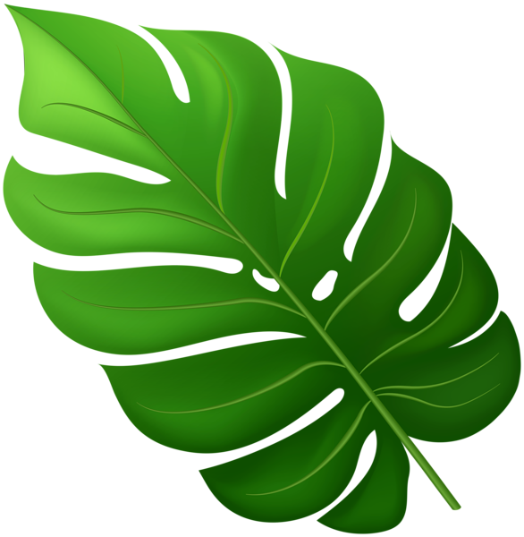 Jungle Leaf Transparent