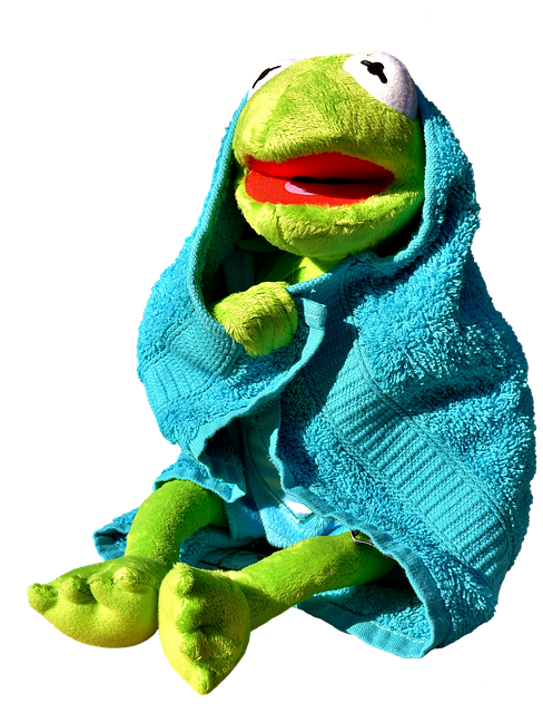 Kermit The Frog PNG Pic
