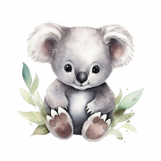 Koala PNG Image HD