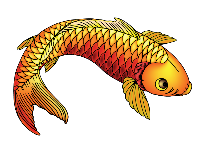 Koi Fish PNG Clipart