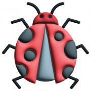 Lady Bug PNG File
