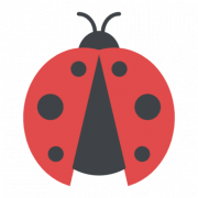 Lady Bug PNG Images