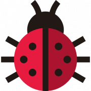 Lady Bug PNG Images HD