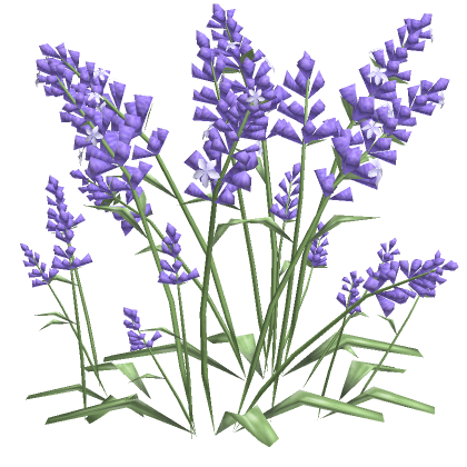 Lavender Field PNG File