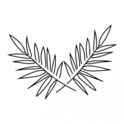 Leaf Black And White PNG Image File