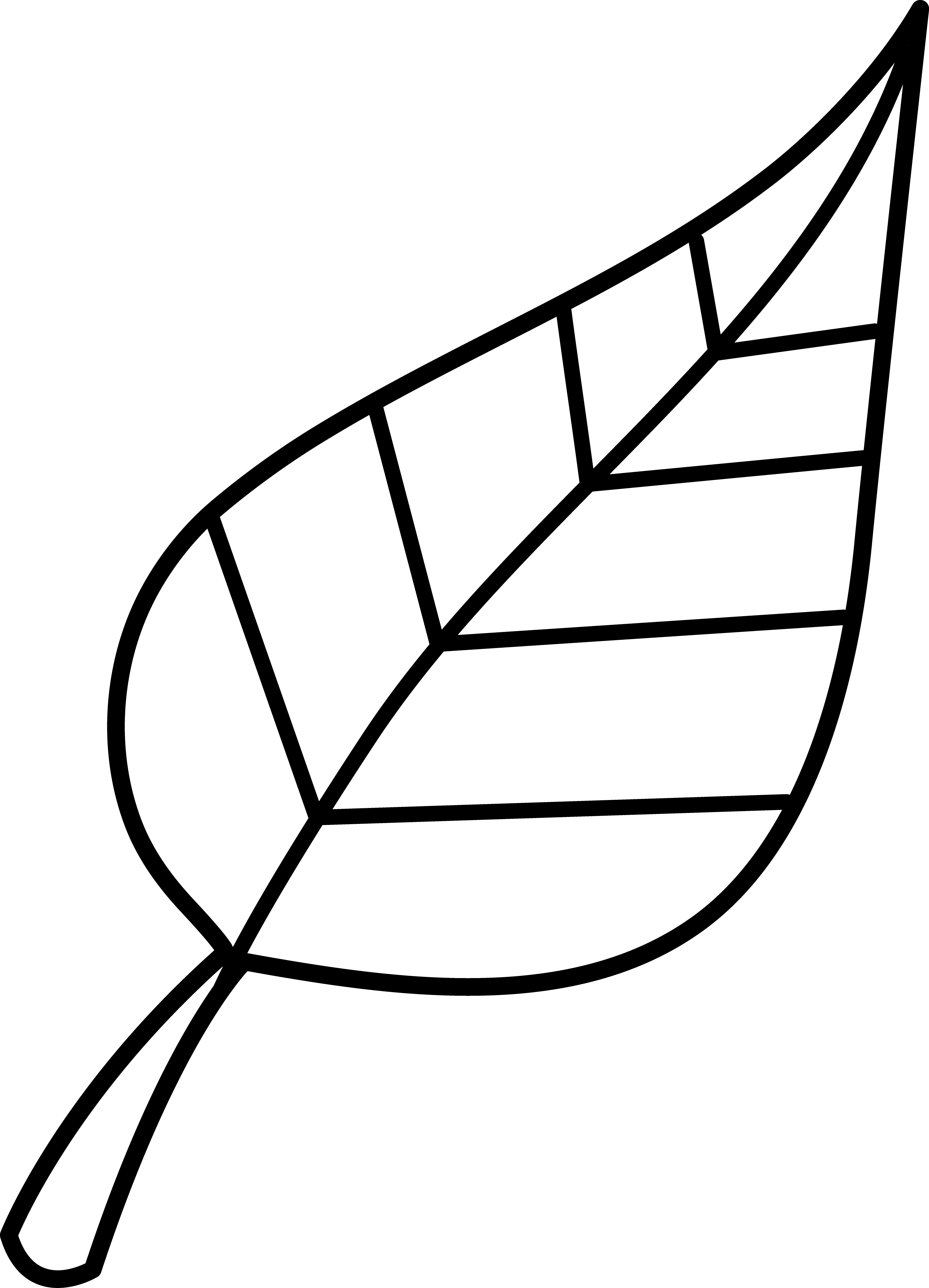 Leaf Black And White PNG Image HD