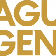 League Of Legends Logo PNG Image HD