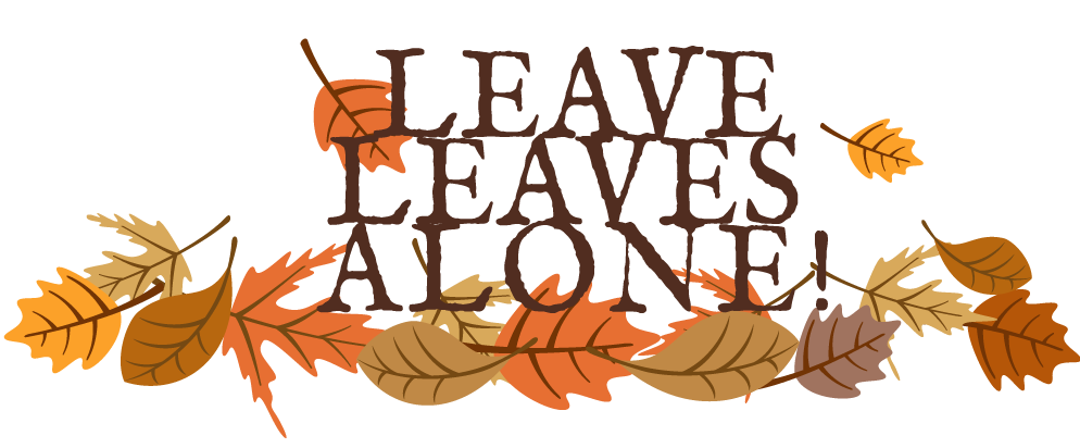 Leave PNG File