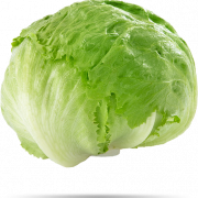 Lettuce Background PNG