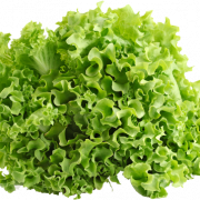 Lettuce PNG