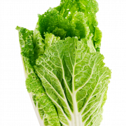 Lettuce PNG Background
