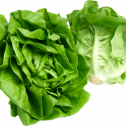 Lettuce PNG Free Image