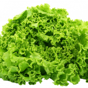 Lettuce PNG Image HD