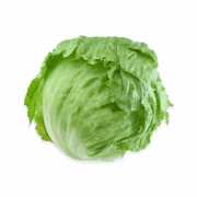 Lettuce PNG Picture