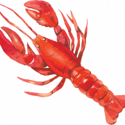 Lobster Background PNG