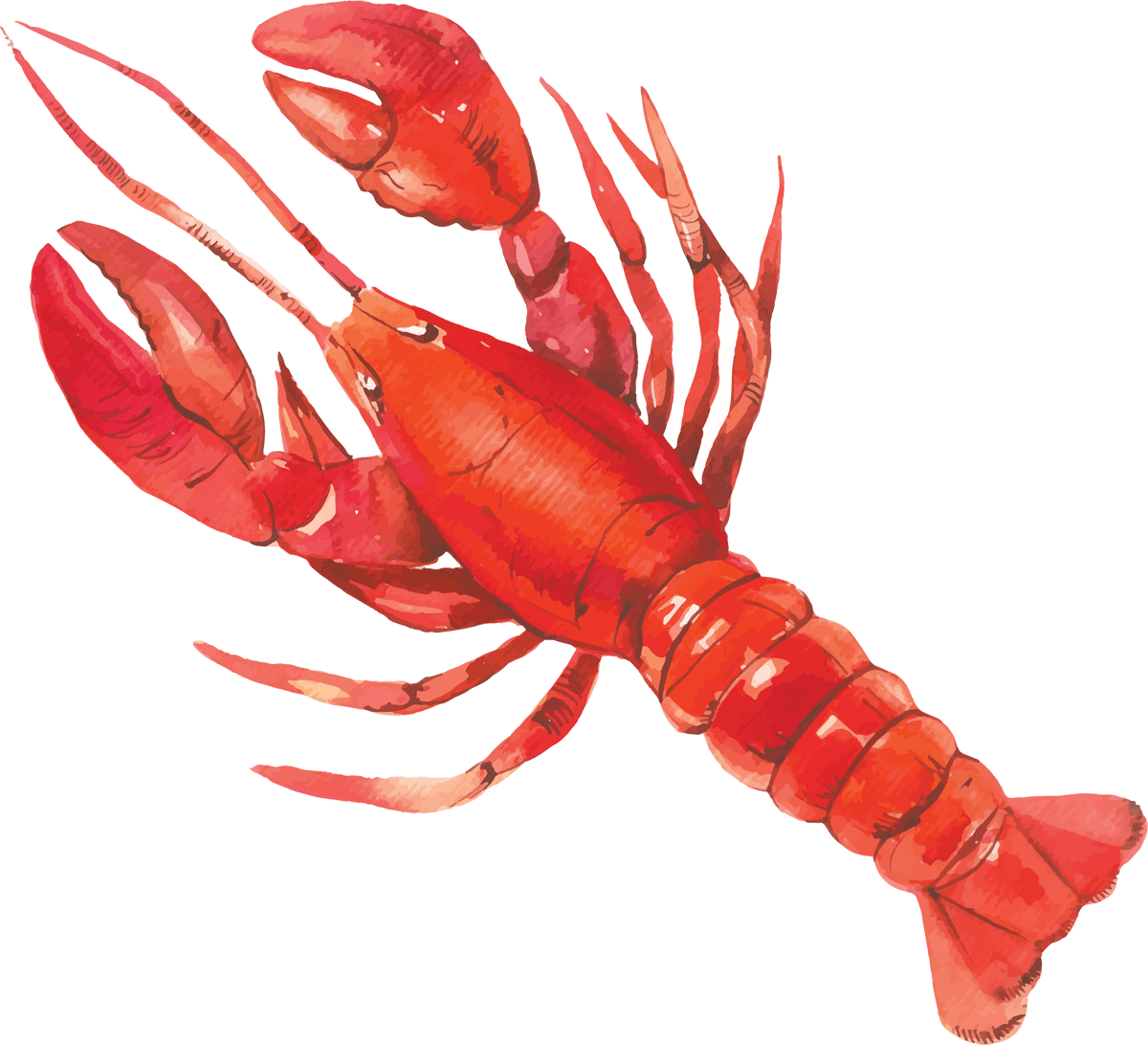 Lobster Background PNG