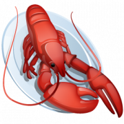 Lobster PNG Background