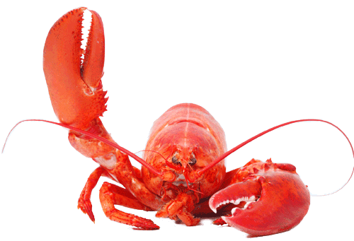 Lobster PNG Clipart