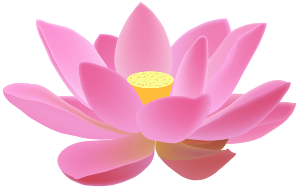 Lotus Flower Background PNG