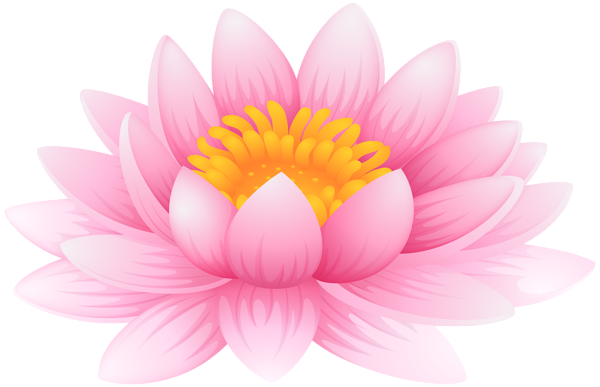 Lotus Flower PNG Background
