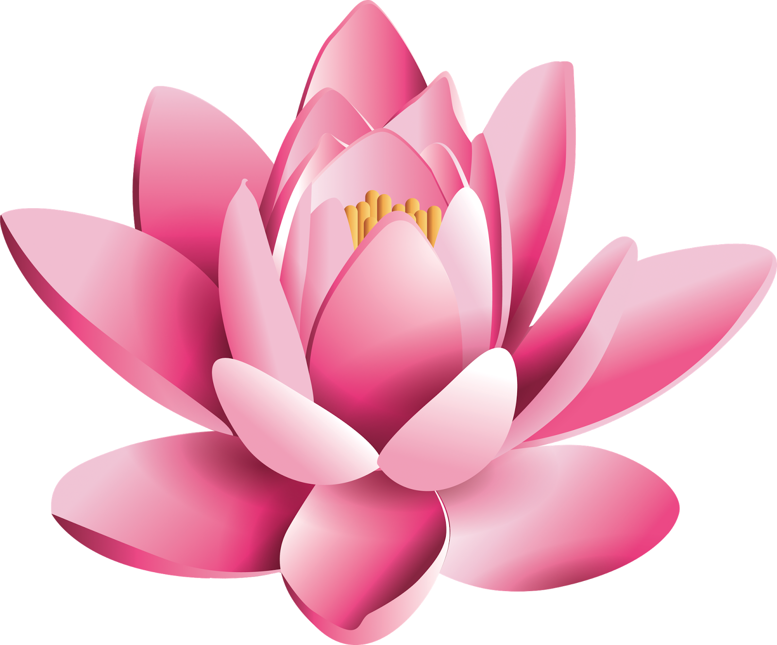 Lotus Flower PNG Image HD