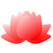 Lotus Flower Transparent