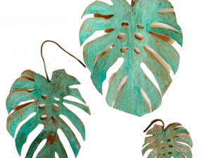 Monstera Leaf PNG