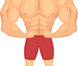 Muscular PNG Pic