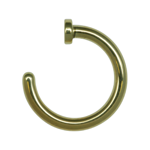 Nose Ring PNG Cutout