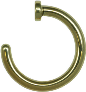 Nose Ring PNG Photo