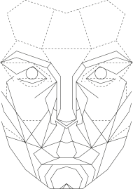 Perfect Face PNG File