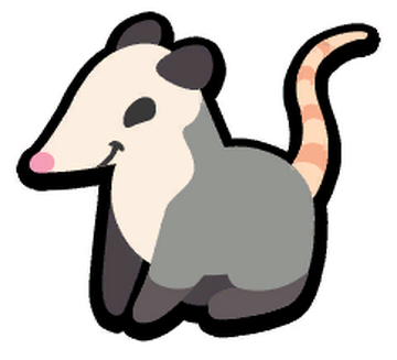 Possum PNG Picture