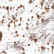 Rust PNG Clipart