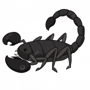 Scorpion PNG Clipart
