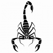 Scorpion PNG HD Image
