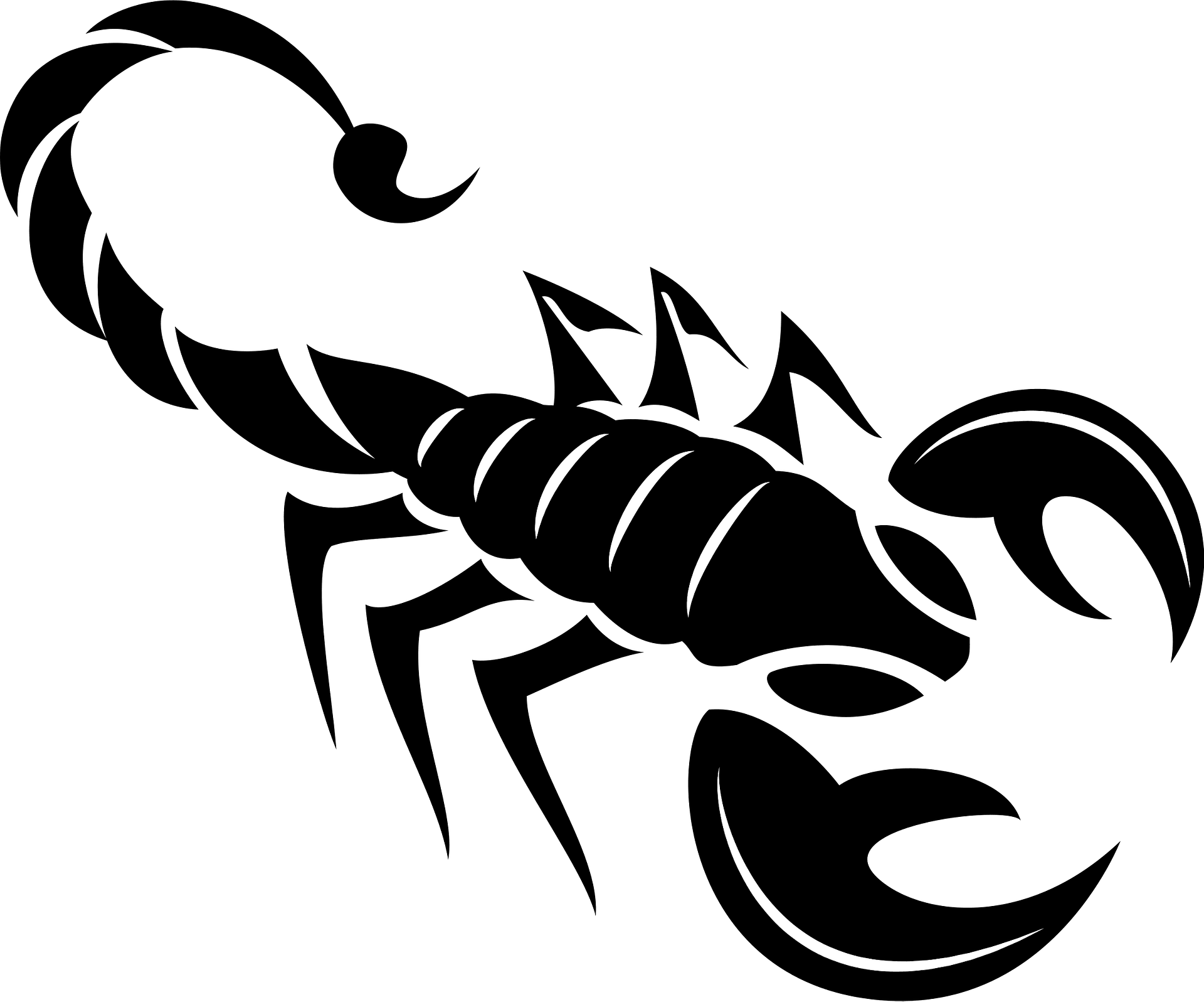 Scorpion PNG Images