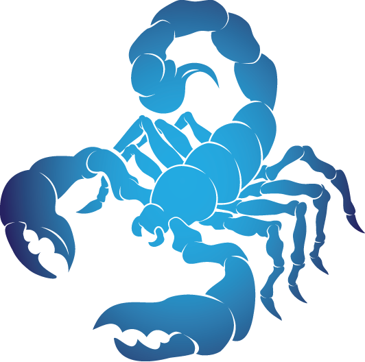 Scorpion PNG Picture