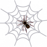 Spiderman Web PNG Image