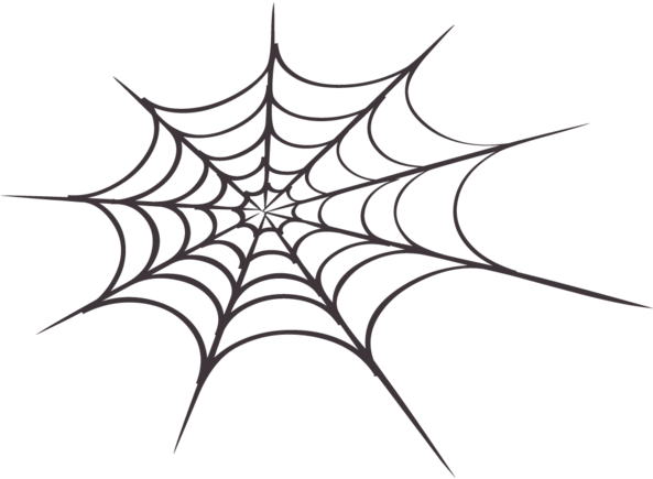 Spiderman Web PNG Photo