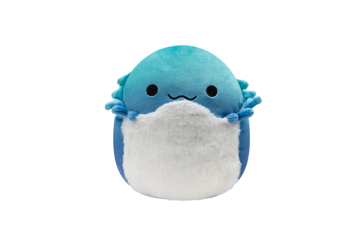 Squishmallow PNG Photos