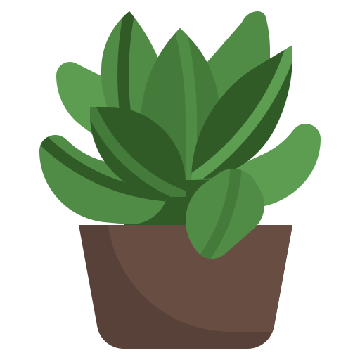 Succulent PNG Image