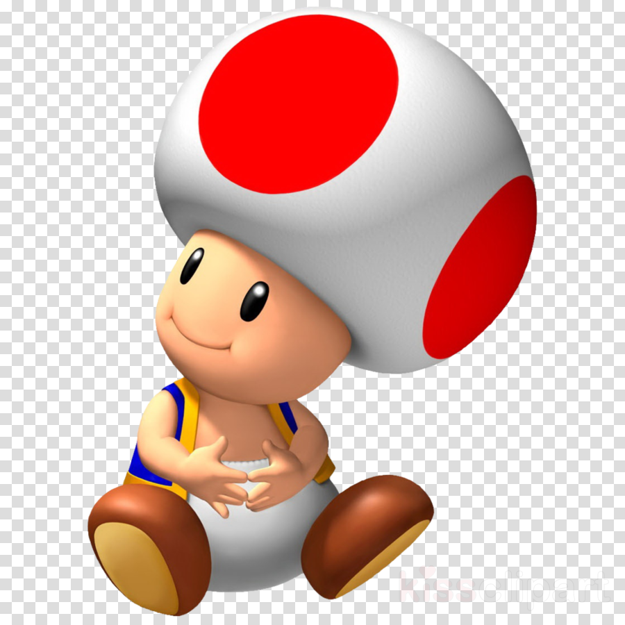 Toad PNG Image