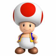 Toad PNG Photo