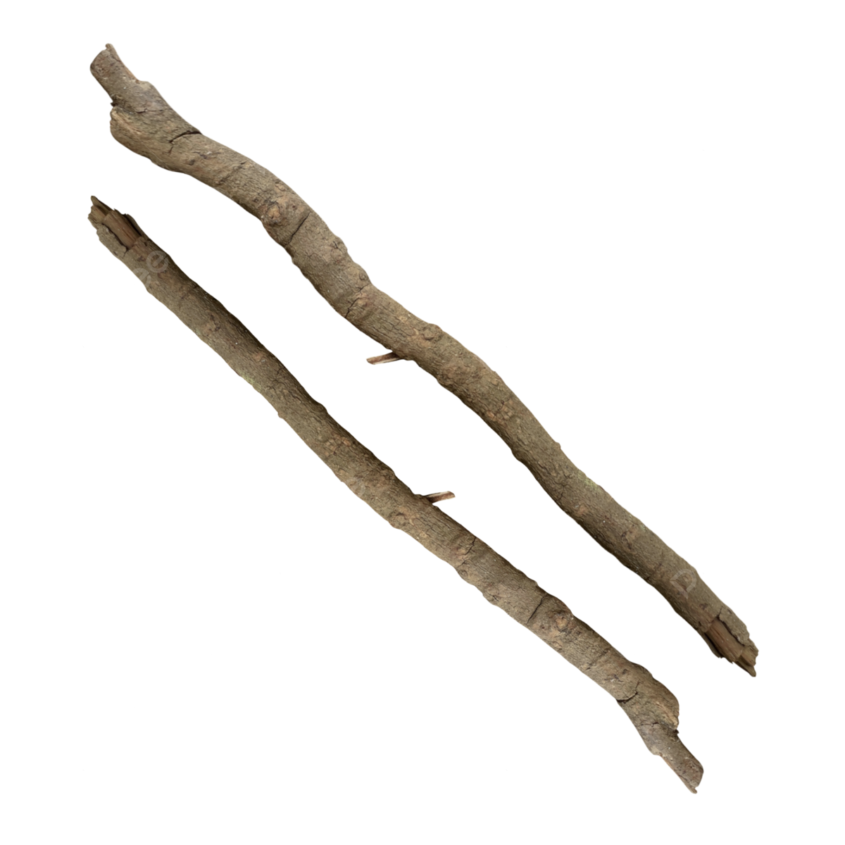 Tree Branch PNG Images HD