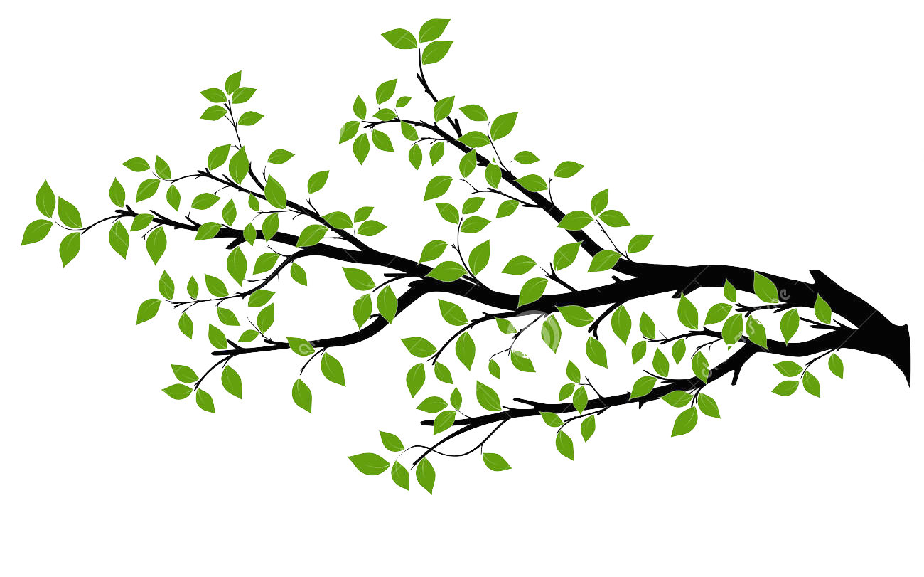 Tree Branch PNG Pic