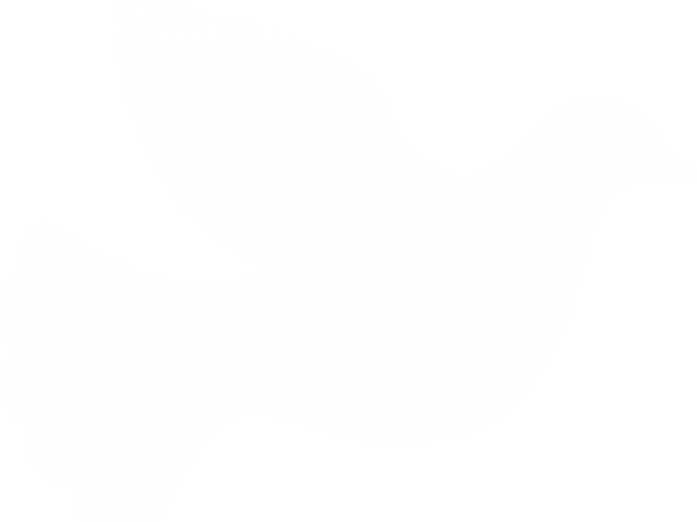 White Dove PNG Cutout