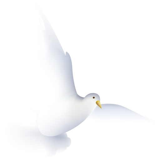 White Dove PNG File